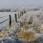 Якою буде погода на Рівненщині 17 січня. Мороз до -22 та I рівень небезпеки