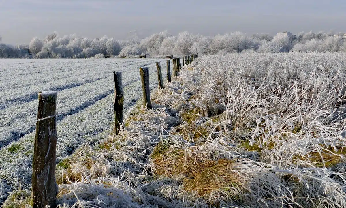 Якою буде погода на Рівненщині 17 січня. Мороз до -22 та I рівень небезпеки