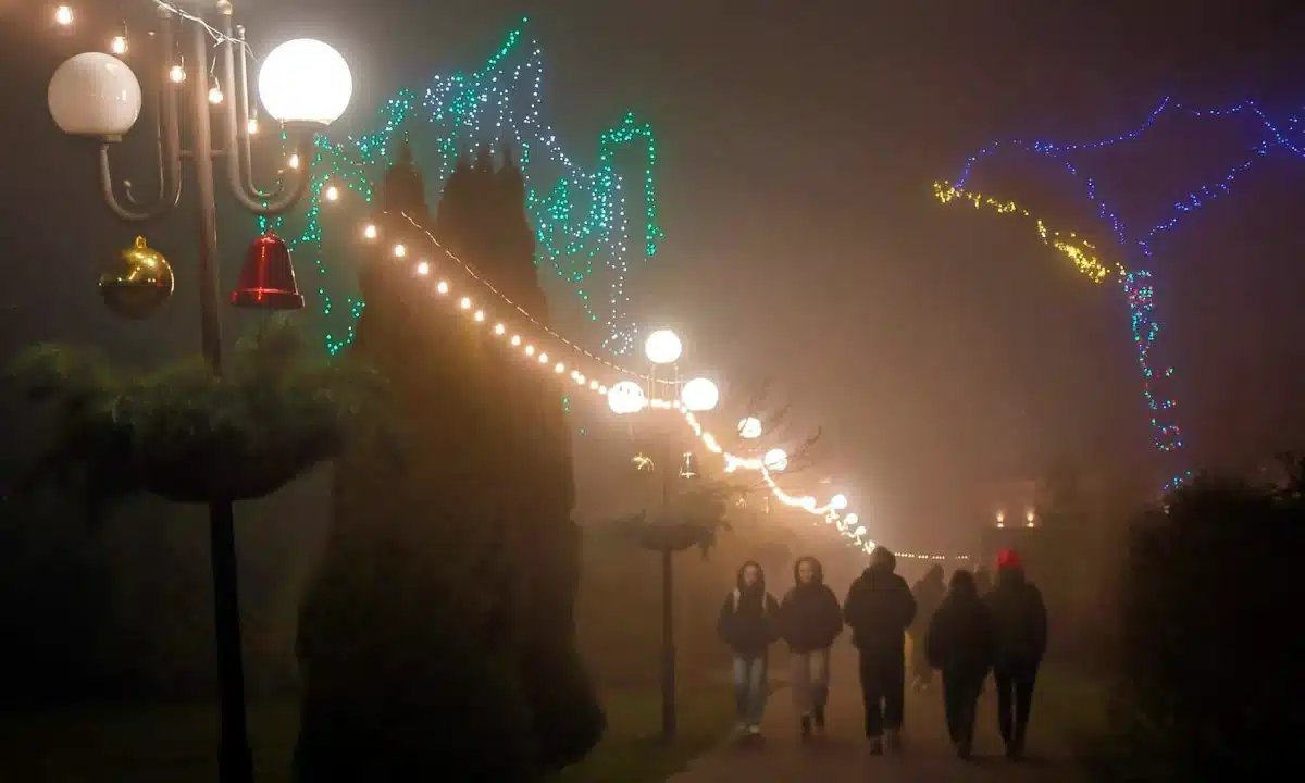 Новорічні прикраси у парку "Залізничник" у Сарнах.