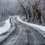 Слизька дорога в лісі.