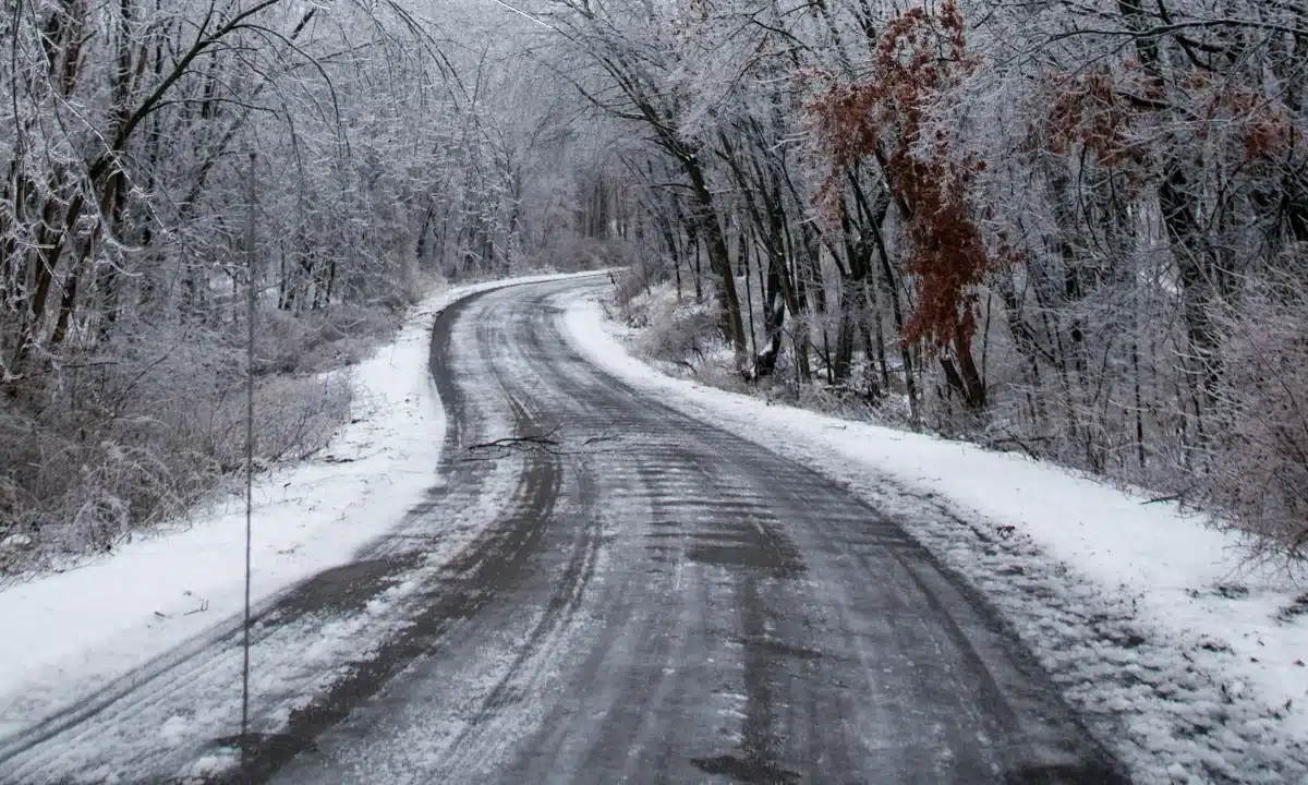 Слизька дорога в лісі.