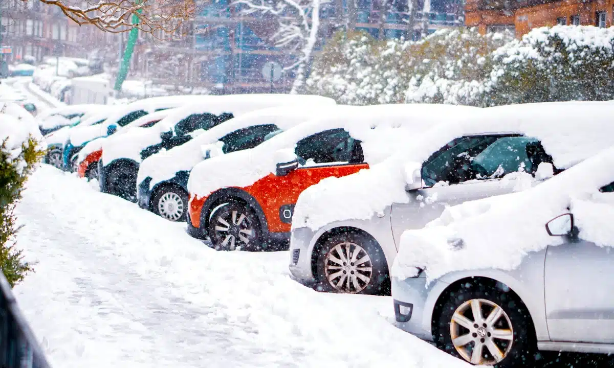 Авто, присипані снігом.