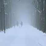 Якою буде погода на Рівненщині 12 січня. Сильний мороз і ожеледиця Двоє людей і собака йдуть засніженим і туманним парком.