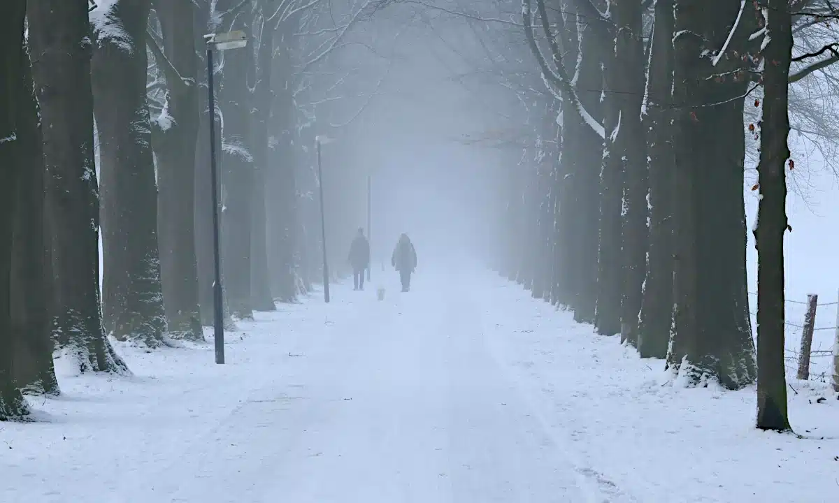 Якою буде погода на Рівненщині 12 січня. Сильний мороз і ожеледиця Двоє людей і собака йдуть засніженим і туманним парком.