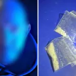 Затриманий чоловік і виявлені наркотики.