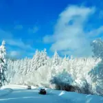 Засніжені ліс і дорога, по якій їдуть два авто.