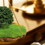 Суд постановив повернути Миляцькій громаді три земельні ділянки