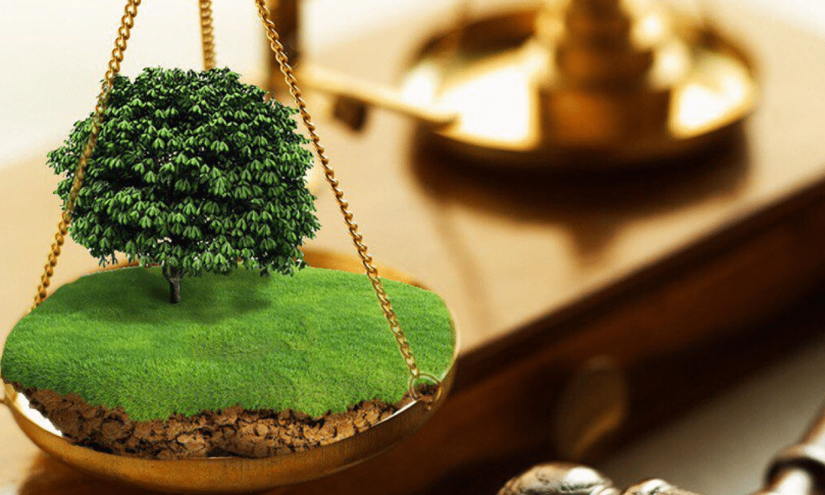 Суд постановив повернути Миляцькій громаді три земельні ділянки