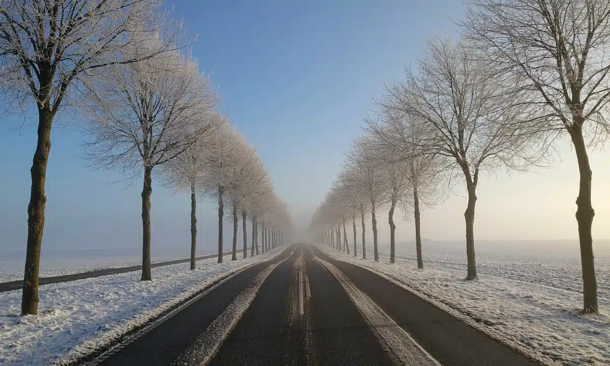 Зимова дорога.