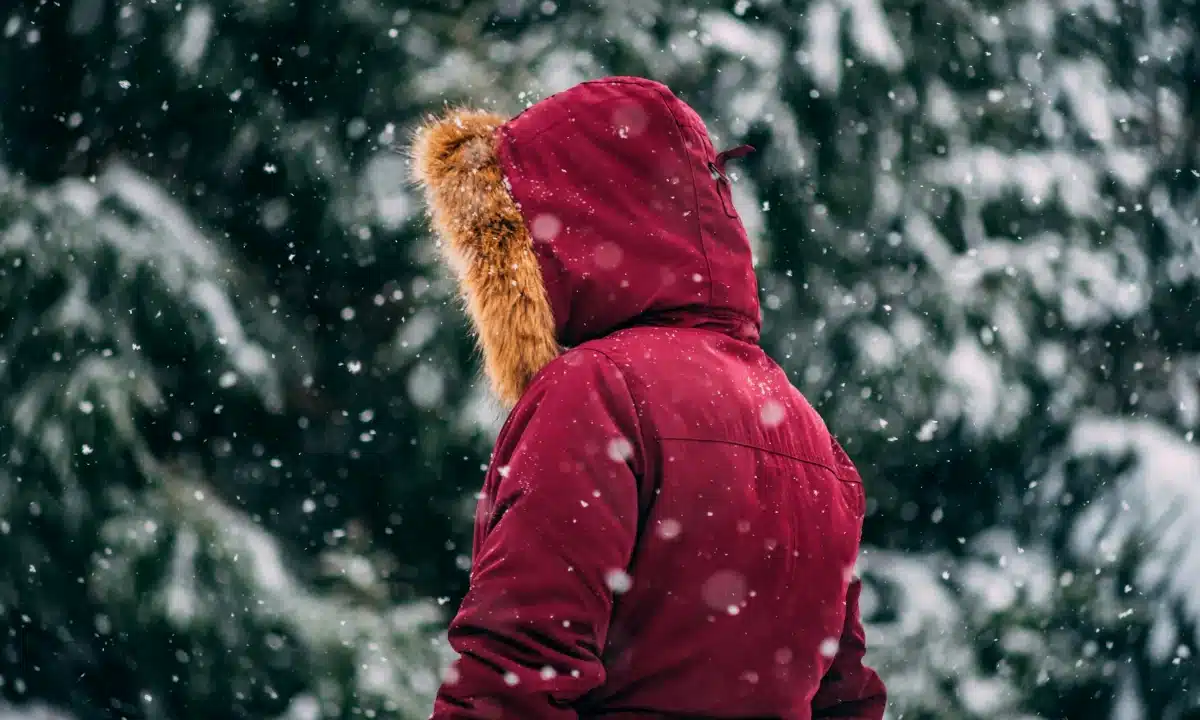 Чоловік у зимовій куртці в засніженому лісі.