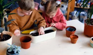 Що посіяти на розсаду в лютому: календар городника 2026