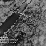 Переміщення диких тварин - кадр із відео дрона.