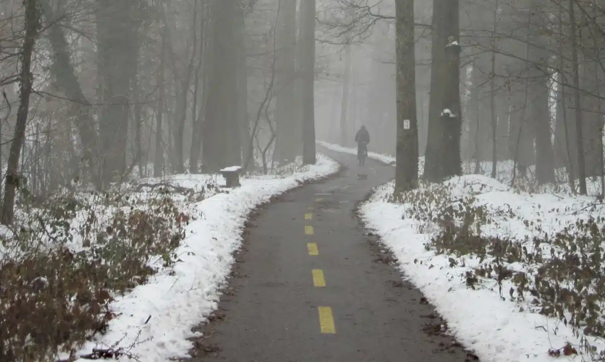 Чоловік їде велосипедом лісовою дорогою.