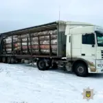 Вантажівка з колодами.