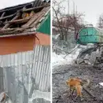 Пошкодження притулку.