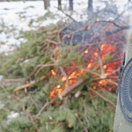 Спалювання порубкових решток деревини