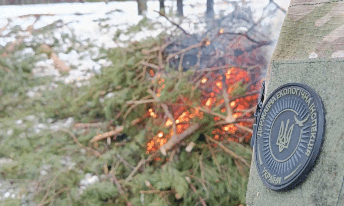 Спалювання порубкових решток деревини