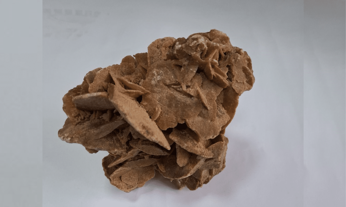 Троянда пустелі — рідкісний мінерал з кристалів гіпсу