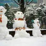 Три сніговики.
