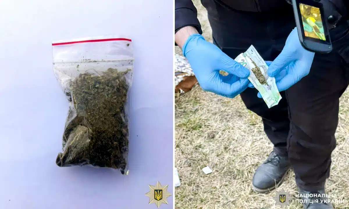 Вилучений канабіс.