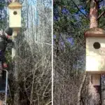 Встановлення дуплянок у Нобельському нацпарку.