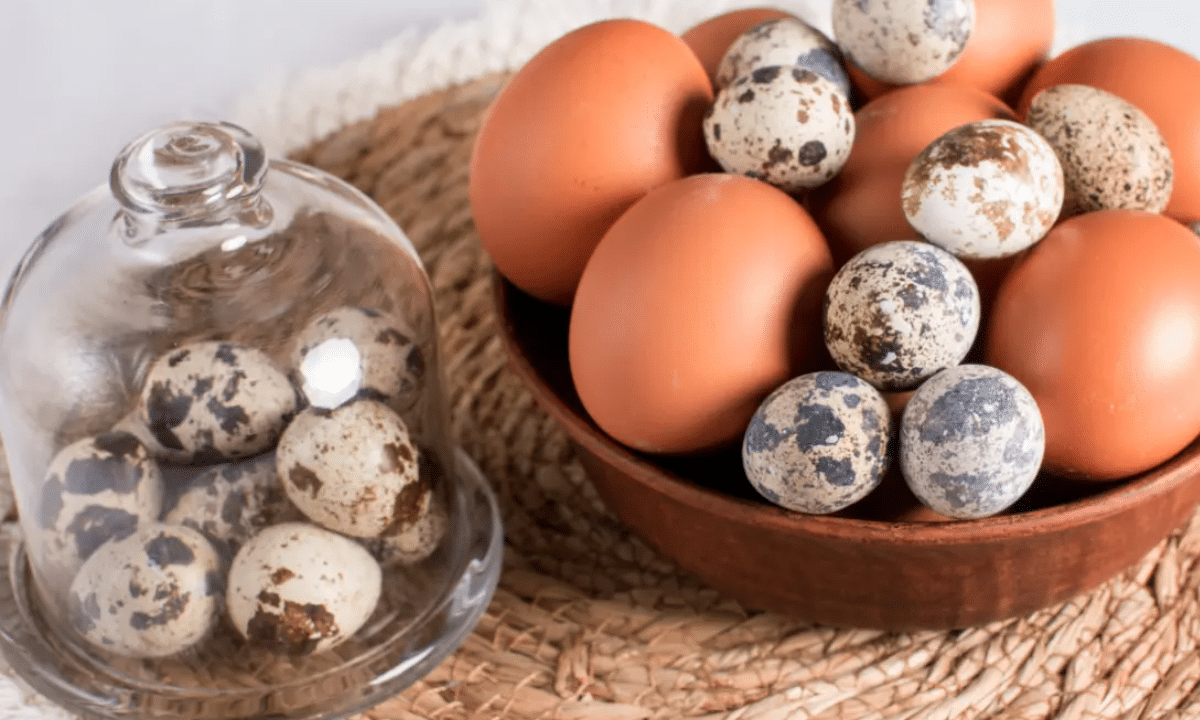 Перепилині чи курячі яйця.