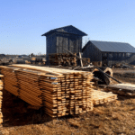 Незаконна порубка лісу.