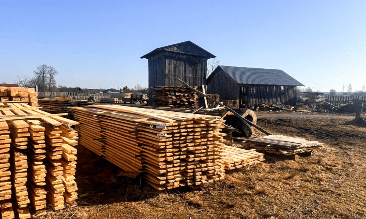 Незаконна порубка лісу.