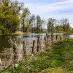 Парк-пам&rsquo;ятка садово-паркового мистецтва &laquo;Млинівський парк&raquo;.