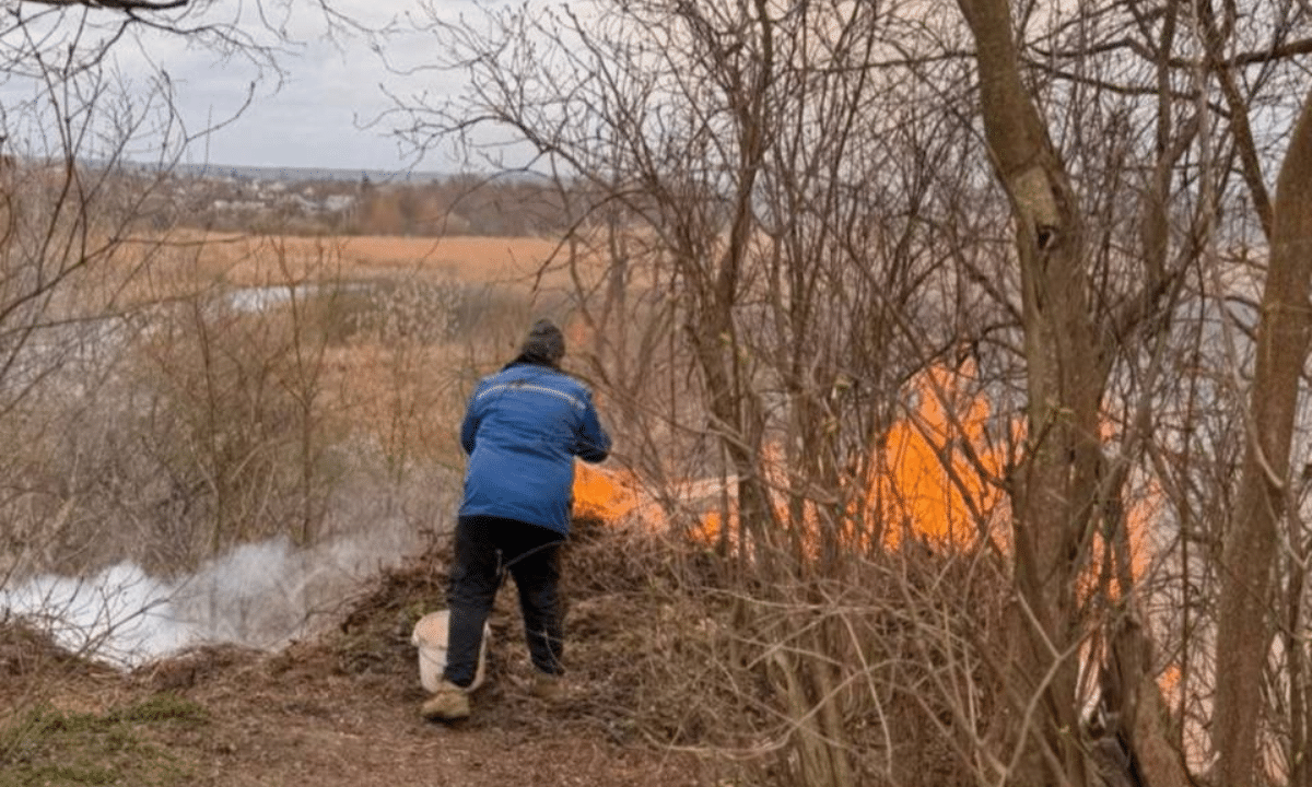 Підпал сухого листя.