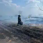 Рятувальники гасять загоряння сухої трави.