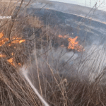 Горить трава.