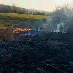 Біля села на Рівненщині загорілася суха трава – палія вже встановили Трава горить у Микитичах.