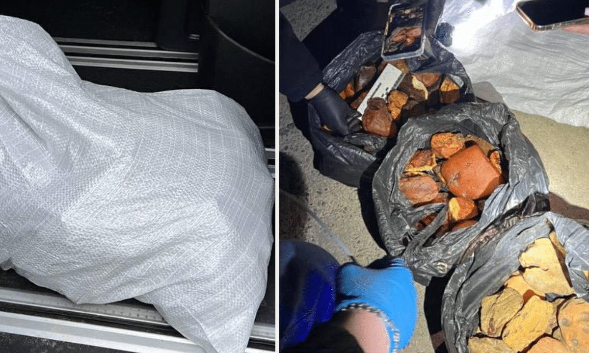 Під час перевірки авто на Рівненщині виявили каміння, схоже на бурштин Патрульні виявили в машині бурштин.
