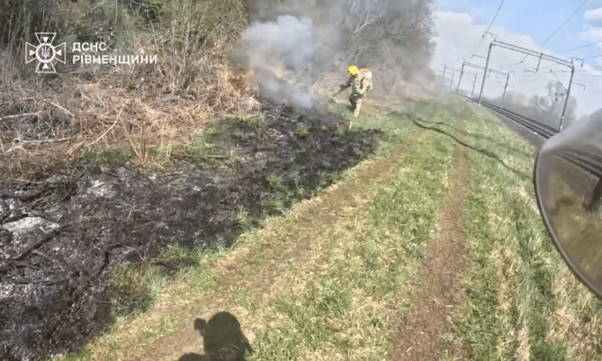 Рятувальники ліквідовують пожежу сухостою.