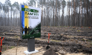 На Костопільщині висадили &laquo;Ліс пам&rsquo;яті&raquo; на честь загиблого військового