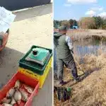 Інспектори перевіряють дотримання правил екологічного законодавства.