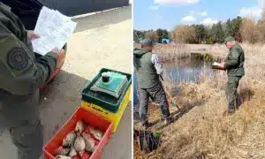 Нерестові перевірки: на Рівненщині виявили порушення правил рибальства