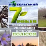 Осередок дикої природи Полісся: Нобельський парк відзначає 7 років