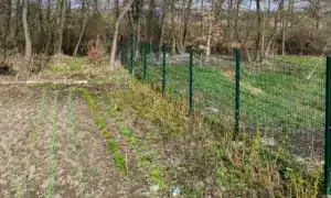 До річки не пройти: у Здолбунові виявили обмеження доступу до берега