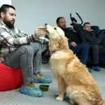 Військові після фронту проходять психологічне відновлення: як працює «декомпресія» на Рівненщині Нацгвардієць і собака.