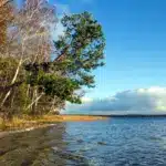 У Рівненському природному заповіднику.