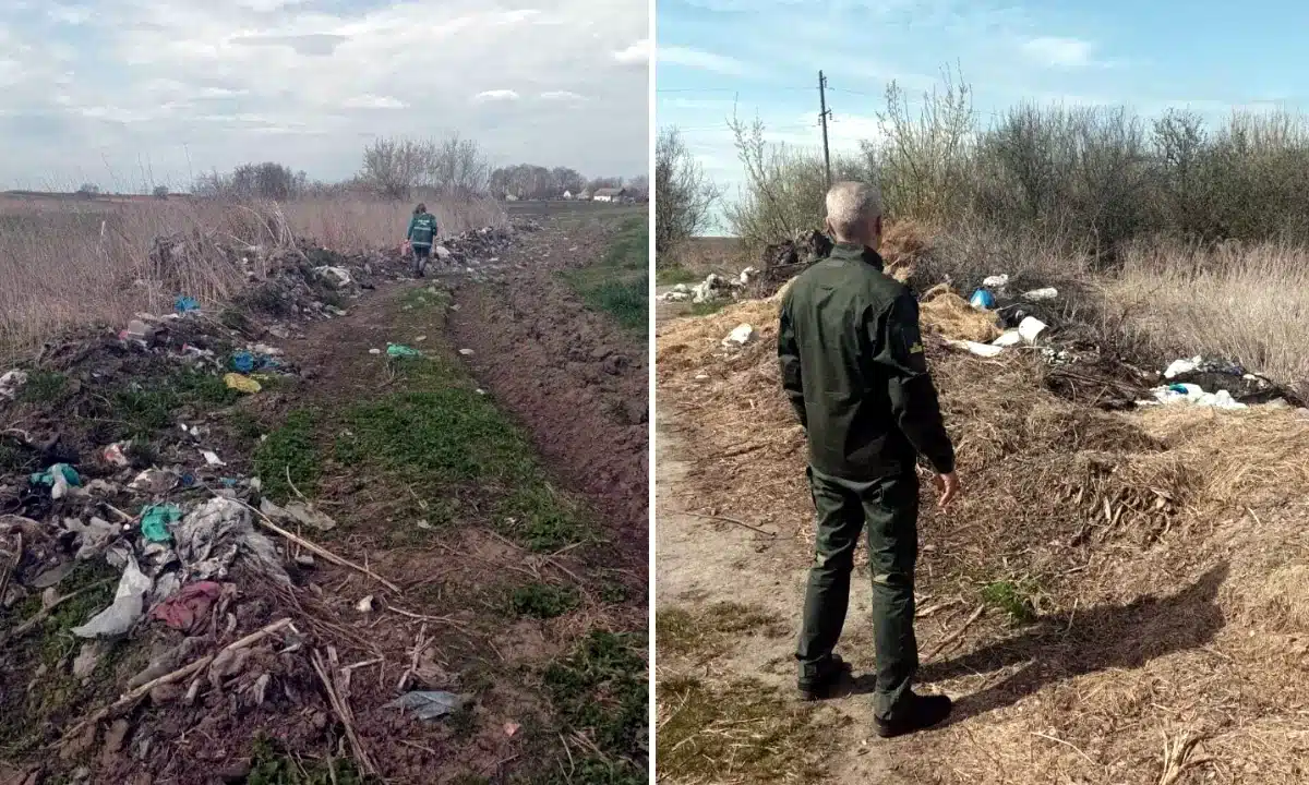 Сміттєзвалища в Межиріцький громаді.
