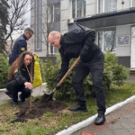 Рівненські митники висадили сакуру.