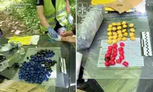 На Дубенщині викрили чоловіків, які робили закладки з наркотиками у лісі