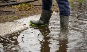 Якою буде погода на Рівненщині 12 травня. Синоптики попереджають про грози й шквали вітру