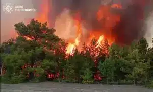 На Сарненщині локалізували лісову пожежу: вогонь також знищив господарську будівлю (ВІДЕО)
