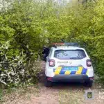 Поліцейське авто в лісосмузі.