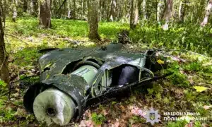 На Рівненщині вибухотехніки знешкодили залишки ворожих безпілотників Після атак дронів на Рівненщині знаходять небезпечні уламки: вибухотехніки працюють у посиленому режимі