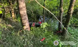На Рокитнівщині 17-річний мотоцикліст загинув після зіткнення з деревом